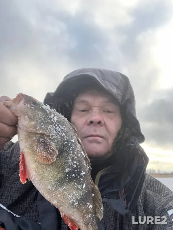 Окунь — Белая, 25 нояб. 2019 г.