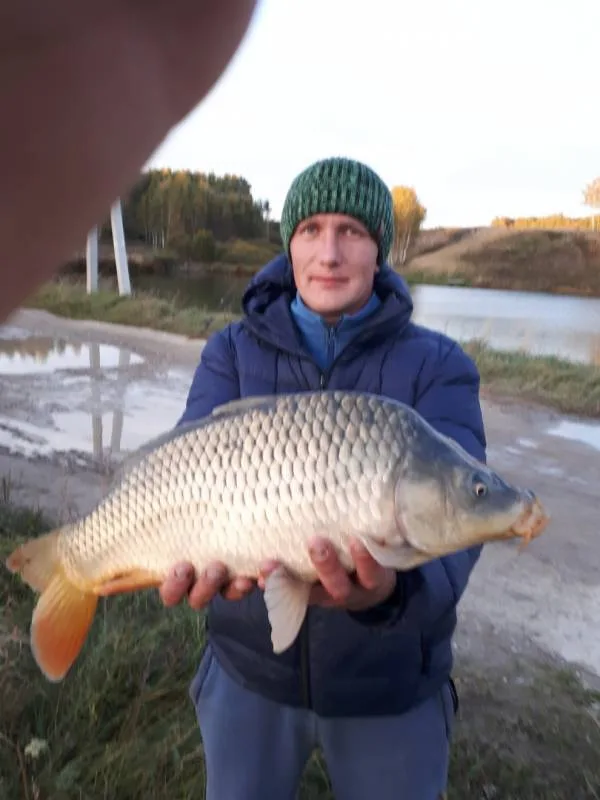 Карп