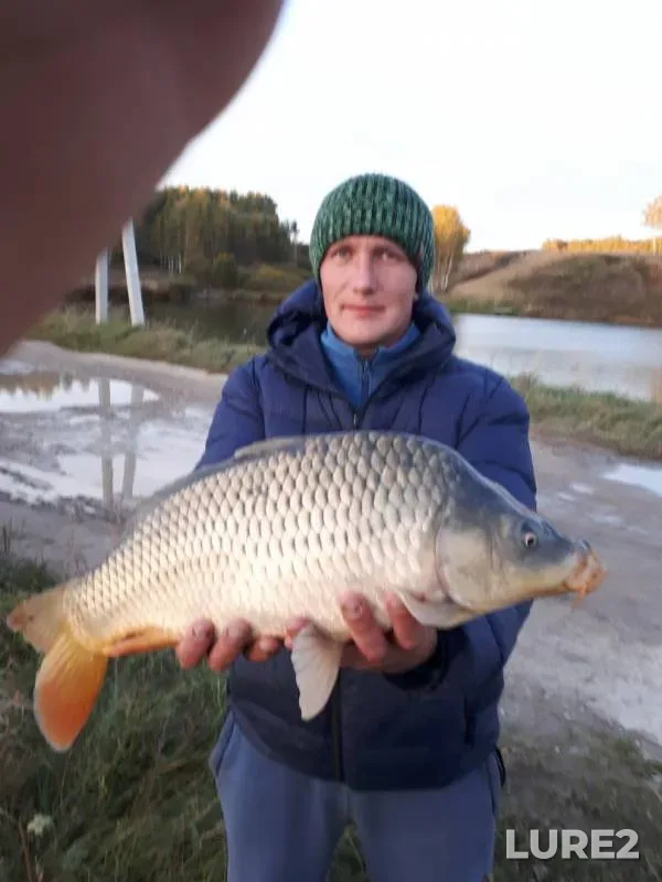 Карп