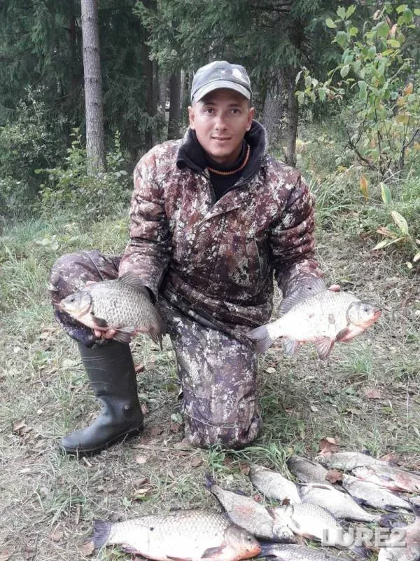 Лещ, Карась — Зацково, 15 сент. 2019 г.