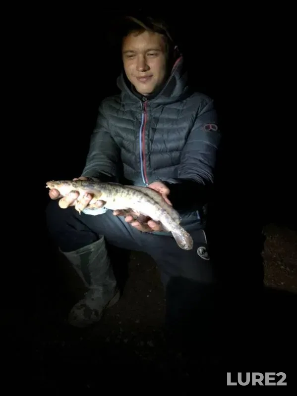 Налим — Кама, 29 апр. 2019 г.