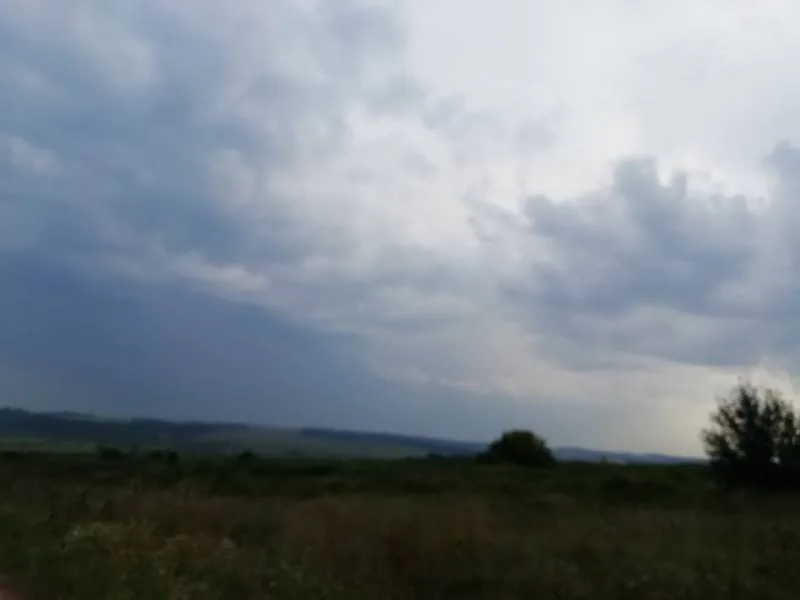 Окунь