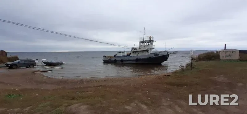 Щука — Нижнекамское, 02 окт. 2019 г.