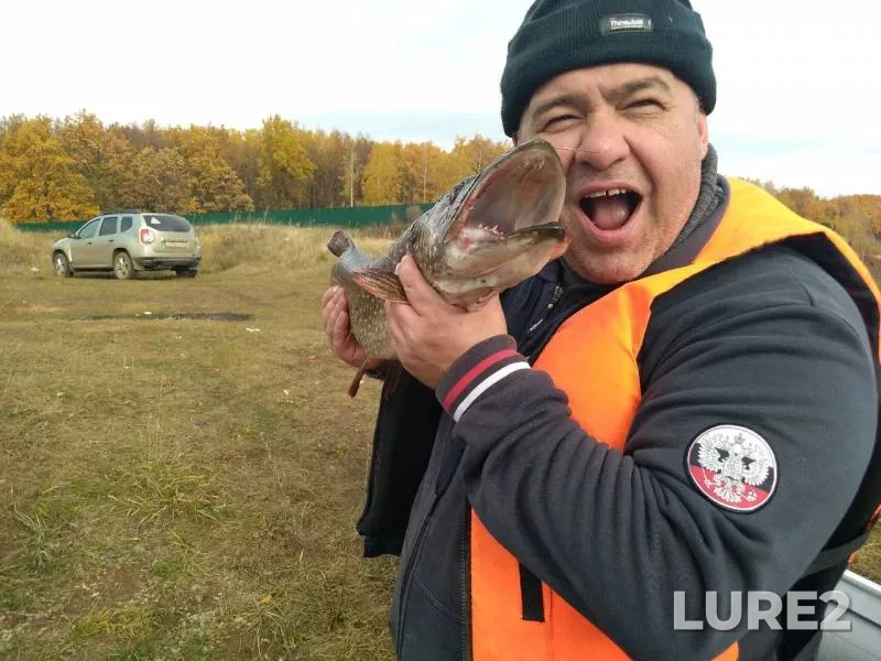 Щука — Медведка, 03 окт. 2019 г.