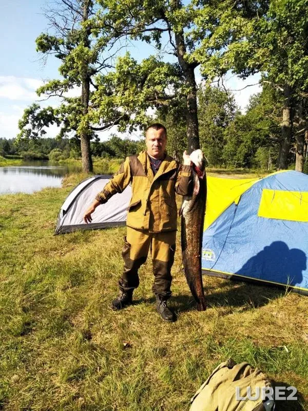 Сом — Птичь, 17 июл. 2019 г.
