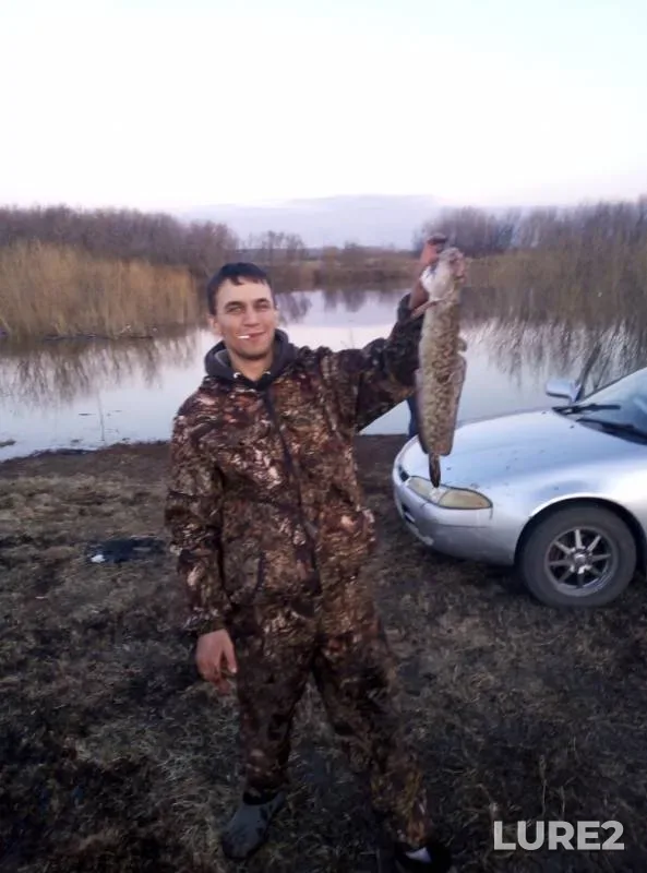 Налим — Иня, 06 апр. 2019 г.