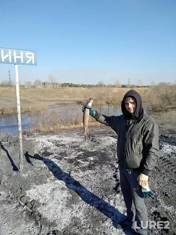 Налим — Иня, 09 апр. 2019 г.