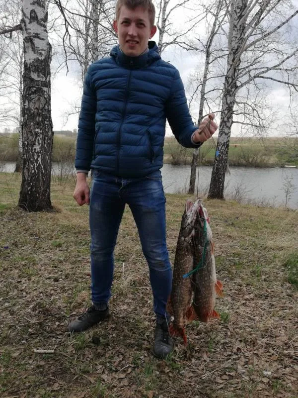 Щука