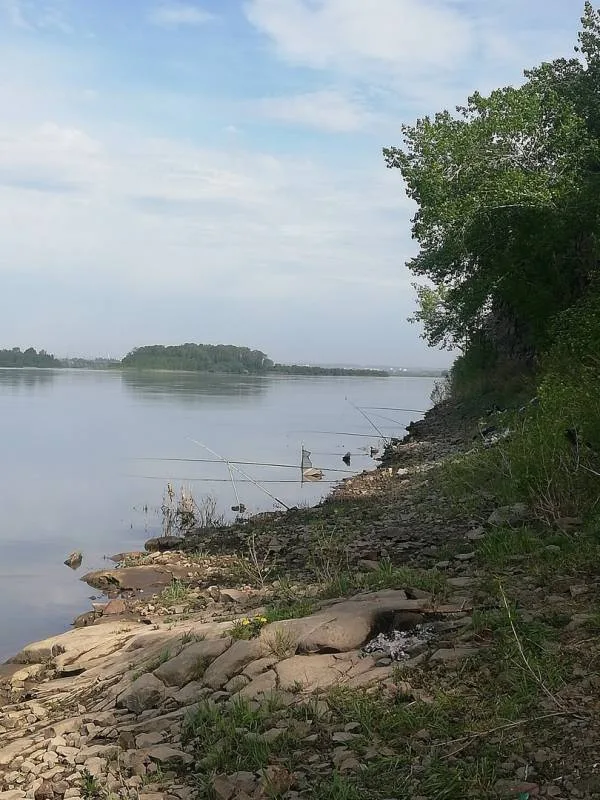 Язь, Окунь