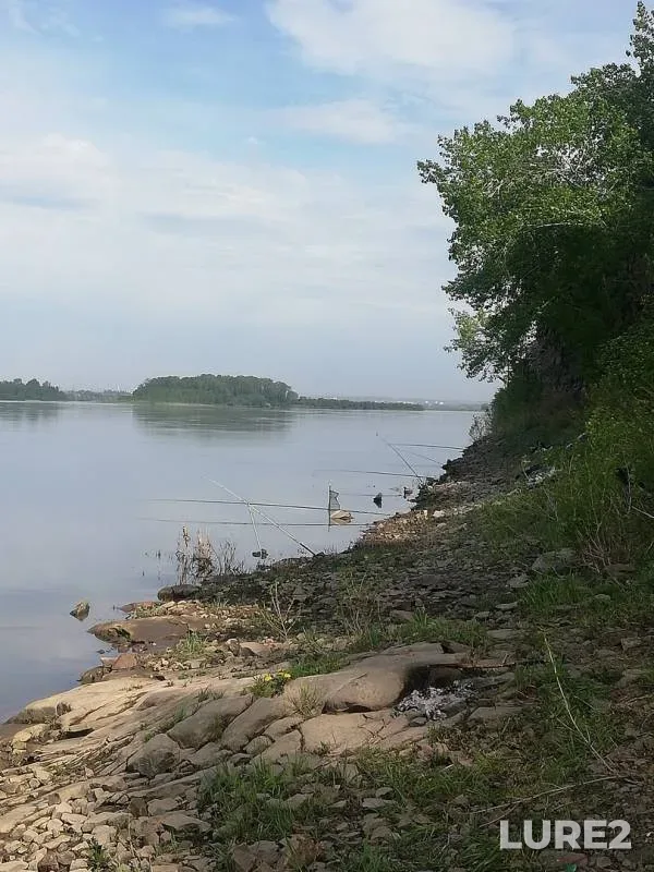Язь, Окунь — Томь, 30 мая 2019 г.