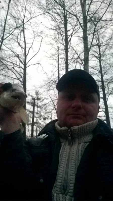 Лещ, Густера