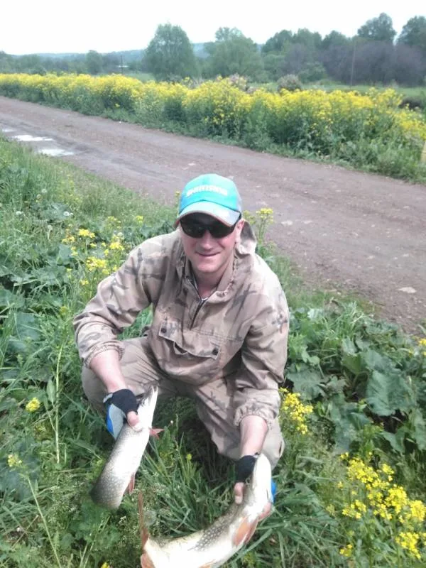 Щука
