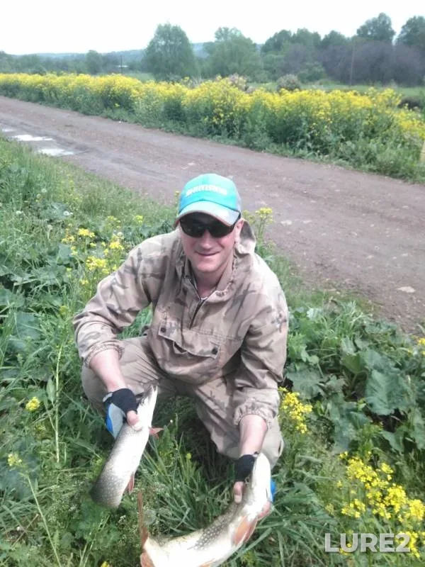 Щука — Северная Уньга, 09 июн. 2019 г.