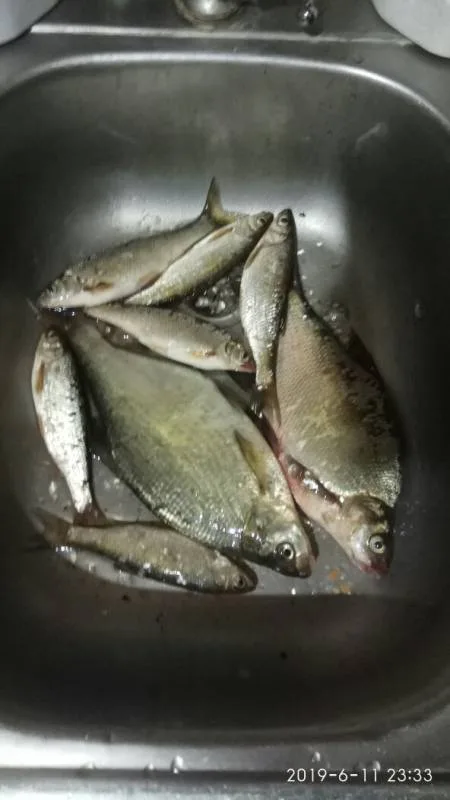 Лещ