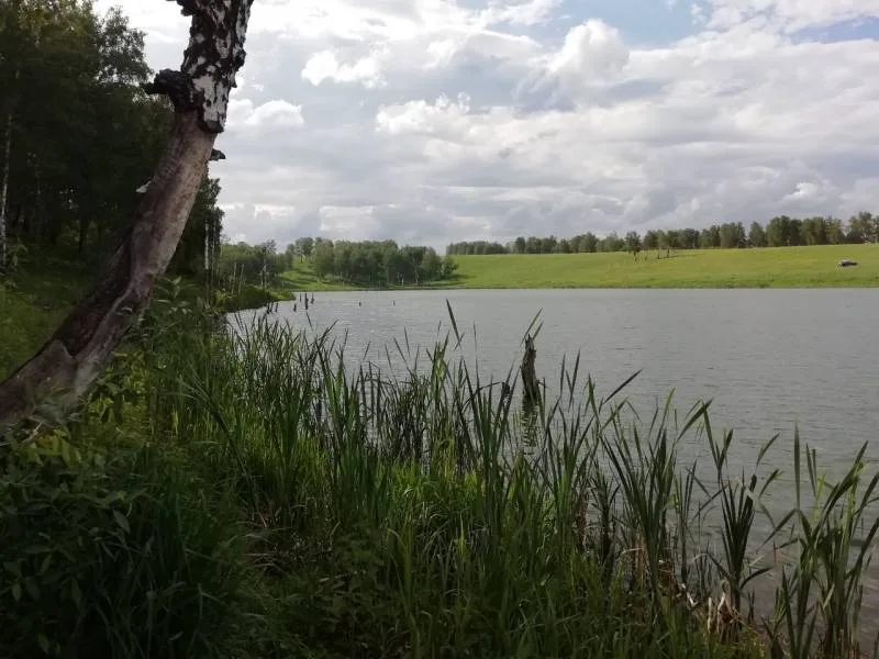 Окунь