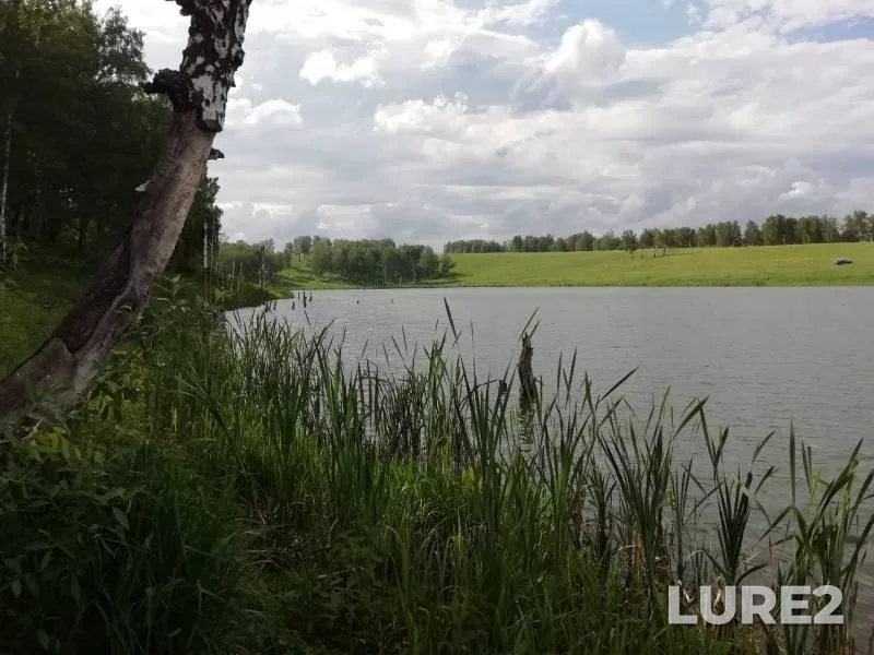 Окунь — Мереть, 13 июн. 2019 г.