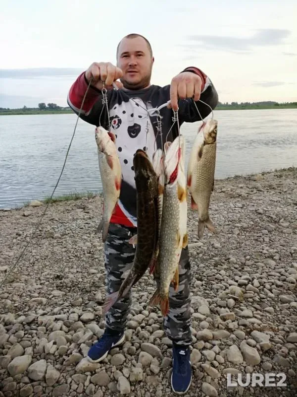 Язь, Щука — Томь, 16 июн. 2019 г.