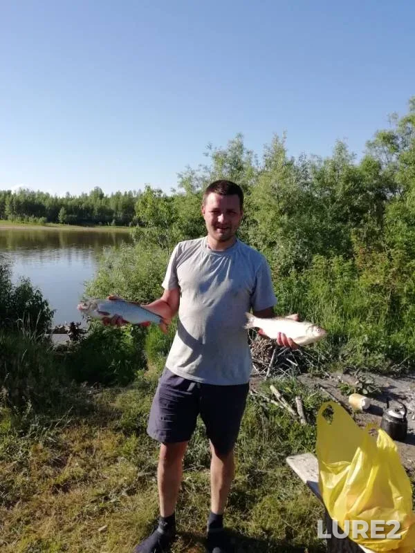 Лещ, Язь — Кия, 22 июн. 2019 г.