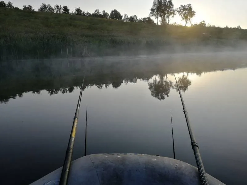 Карась