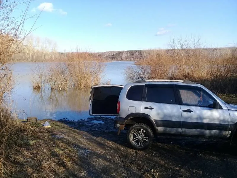 Уклейка