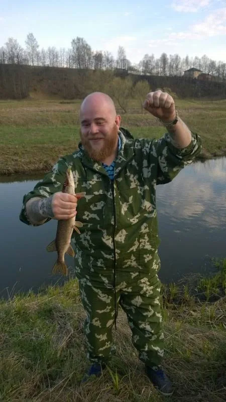 Щука