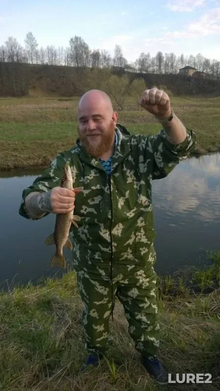 Щука
