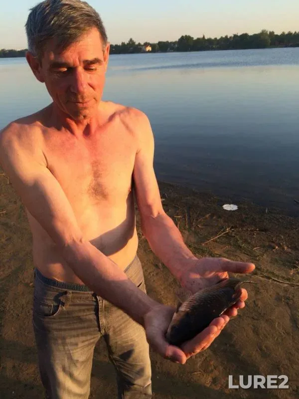 Карась