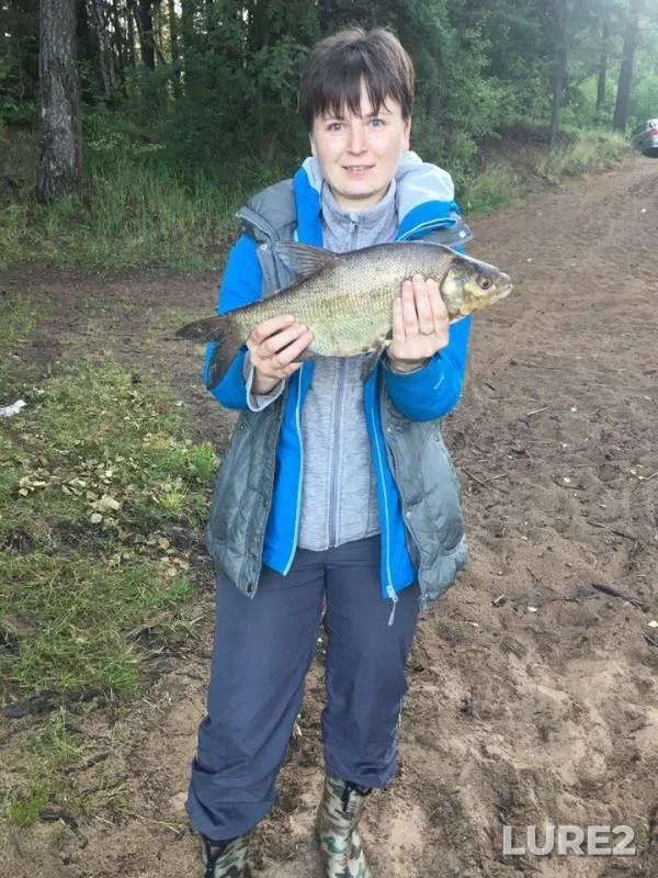 Лещ