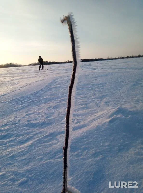 Окунь — Щучье, 16 февр. 2019 г.