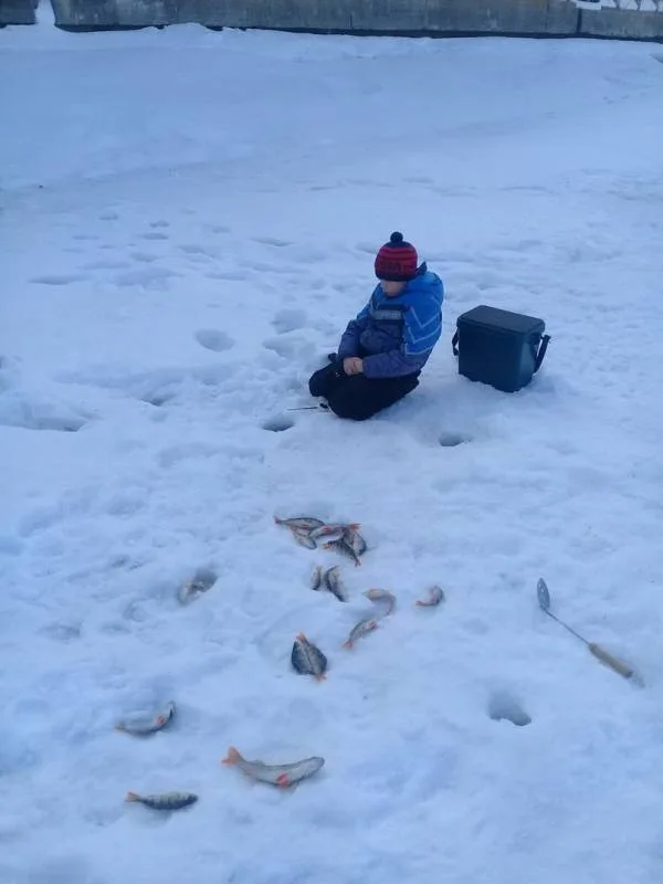 Окунь