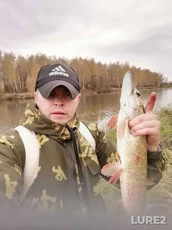 Щука — Жданка, 28 окт. 2019 г.