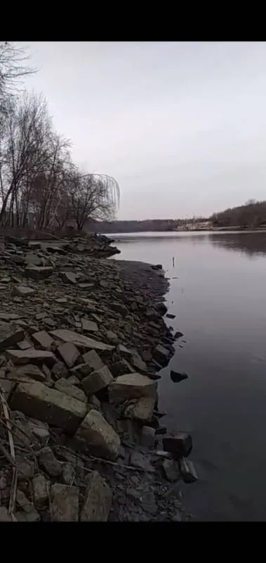 Окунь