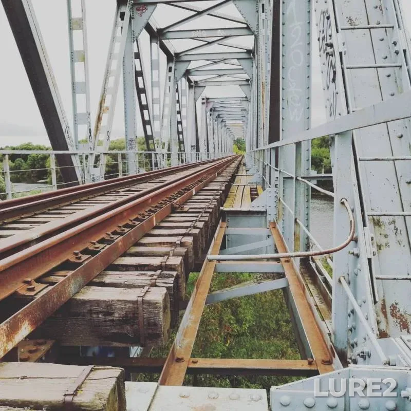 Лещ — Десна, 19 авг. 2019 г.