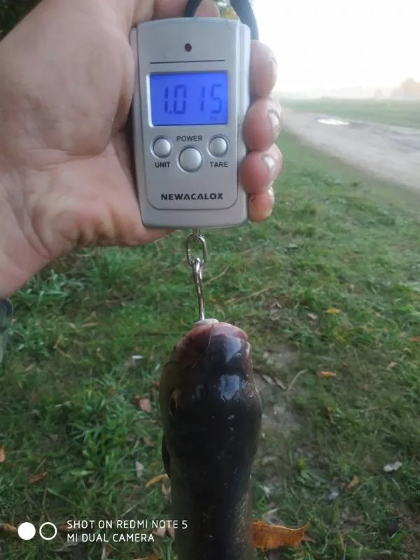 Лещ