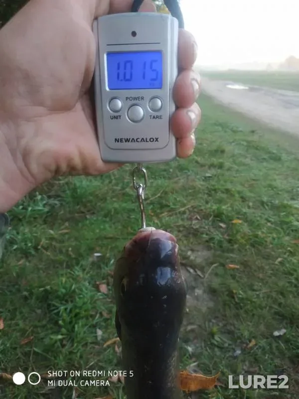 Лещ — Десна, 20 авг. 2019 г.