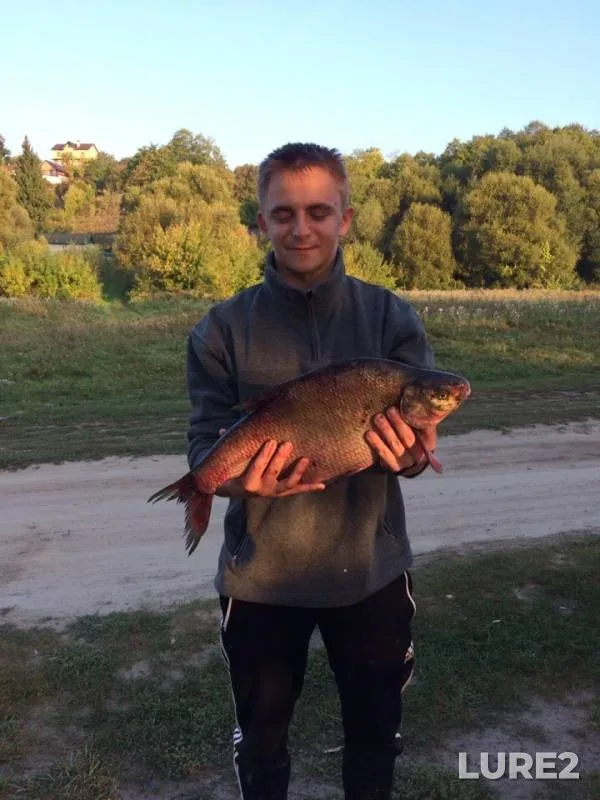 Лещ — Десна, 08 сент. 2019 г.