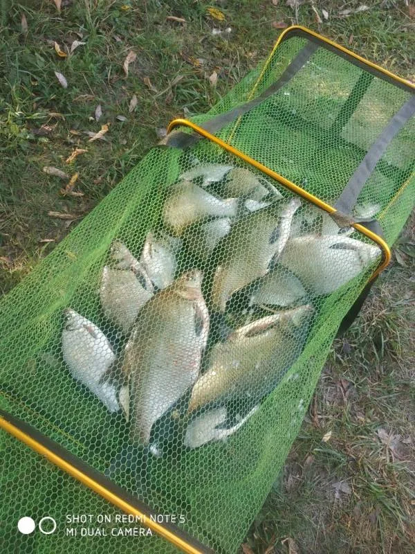 Лещ