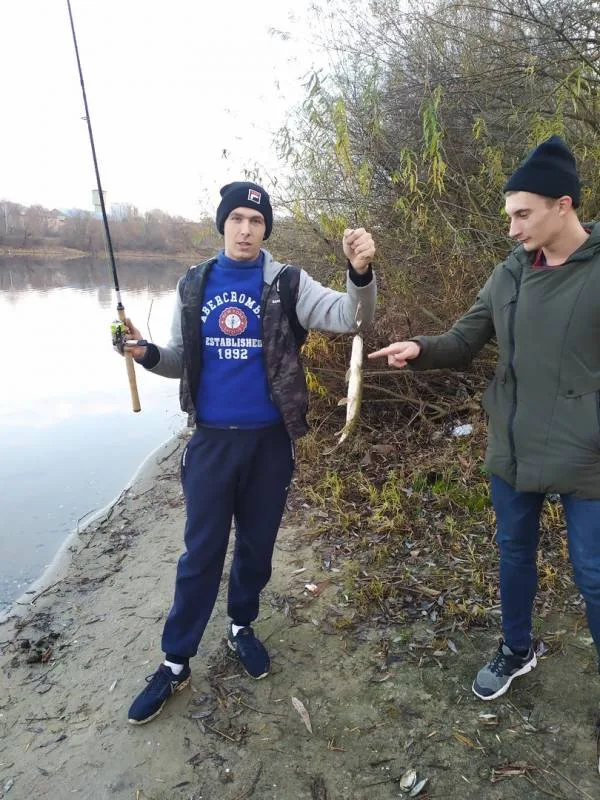 Щука