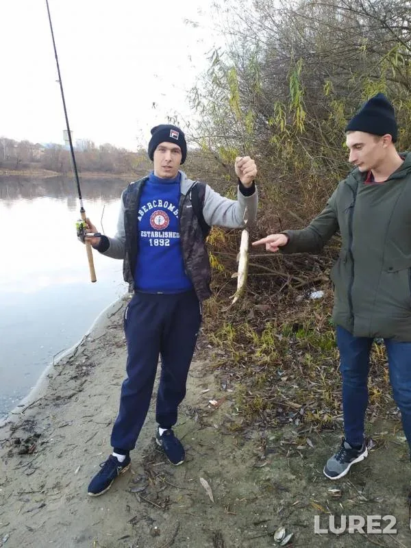 Щука — Десна, 08 нояб. 2019 г.