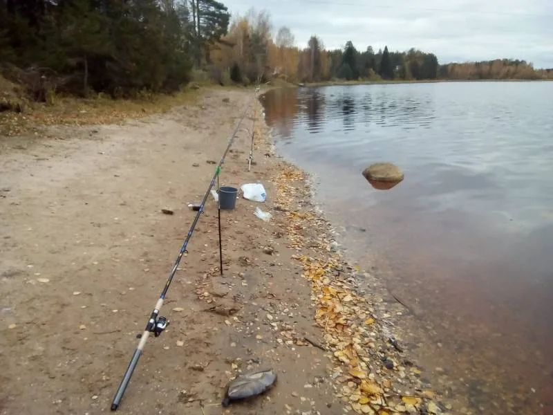 Лещ