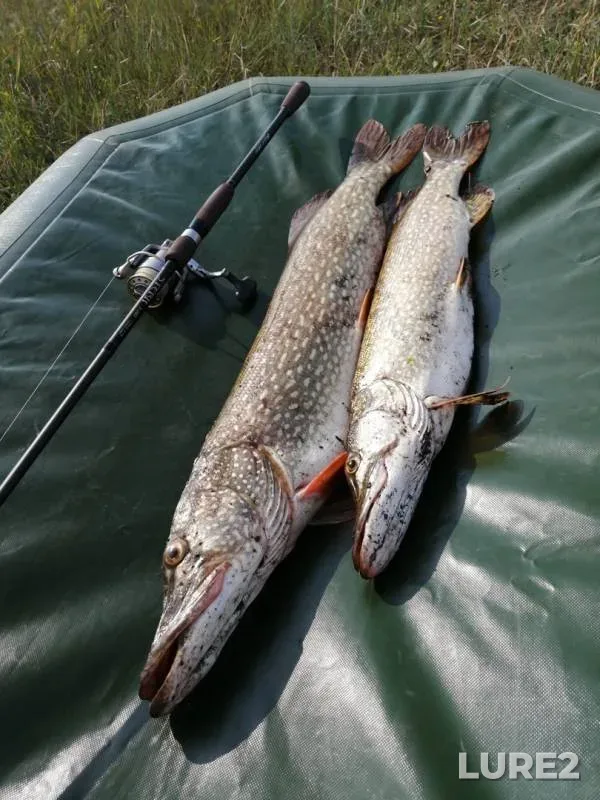 Щука — Мокрый Кызыл, 28 июл. 2019 г.
