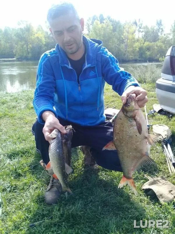 Лещ — Белая, 08 сент. 2019 г.