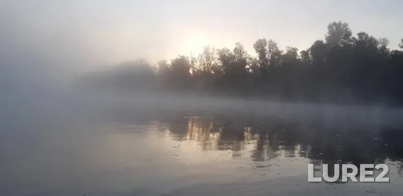 Окунь, Щука — Белая, 18 сент. 2019 г.