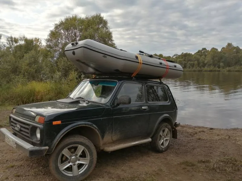 Окунь, Щука