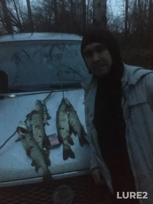 Щука — Белая, 28 окт. 2019 г.