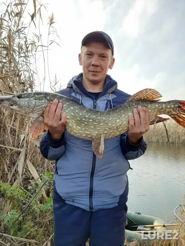 Щука — Волчья, 25 нояб. 2019 г.