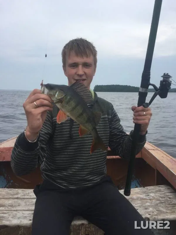Окунь