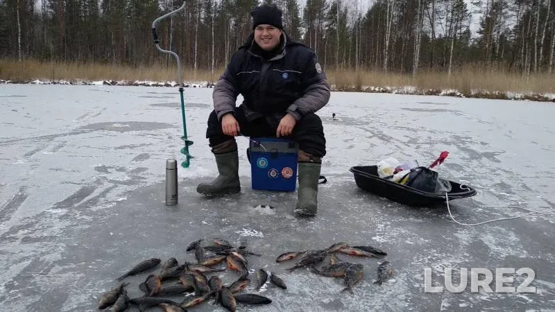 Окунь