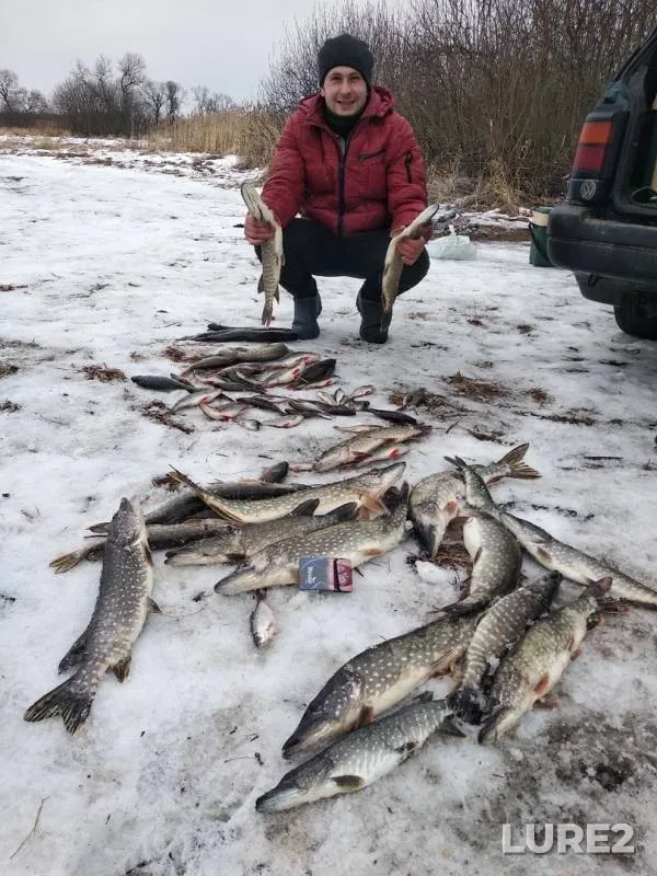 Окунь, Щука — Борецкое, 18 янв. 2019 г.