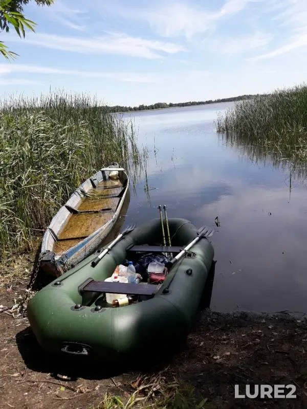 Лещ, Карась